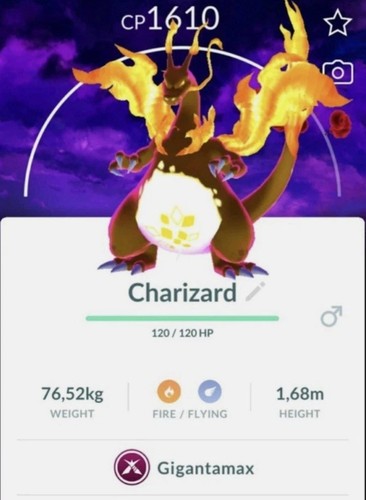 Charizard gigantamax special - gigantamax,