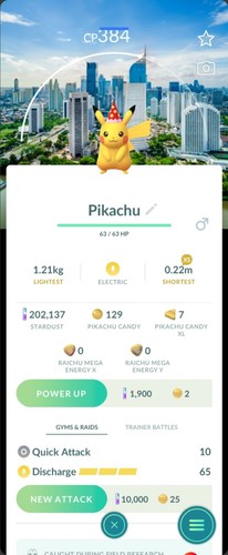 Pokemon non shiny pikachu - pokemon,