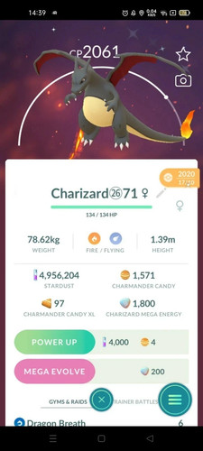 Shiny charizard due mosse - shiny,