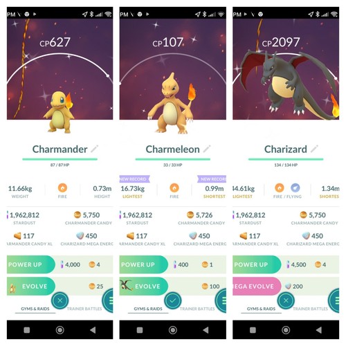 Shiny charmander charmelone - shiny,