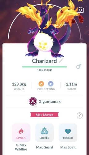 Pokemon shiny gigantamax - go,