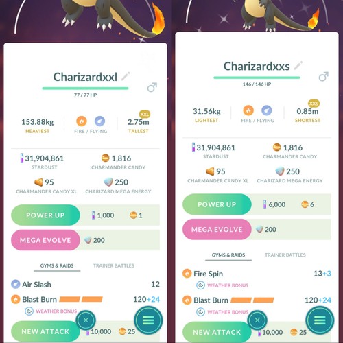Xxl xxs shiny charizard - xxs,