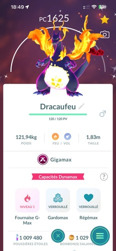 Pokémon go shiny gigamax - pokémon,