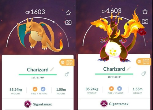 Pokemon gigantamax - pokemon,
