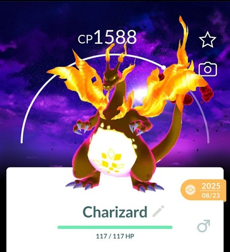 Pokemon gigantamax - go,