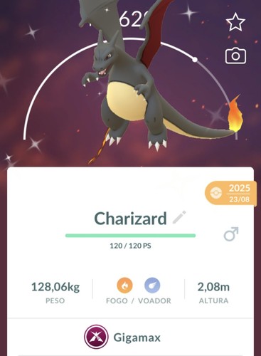 Shiny charizard gmax - shiny,