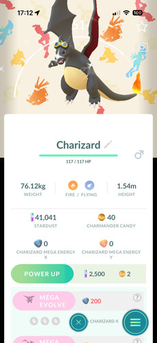 Costume pokémon charizard - costume,