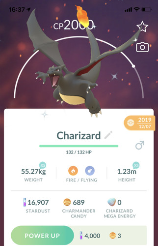 Pokemon shiny charizard - pokemon,