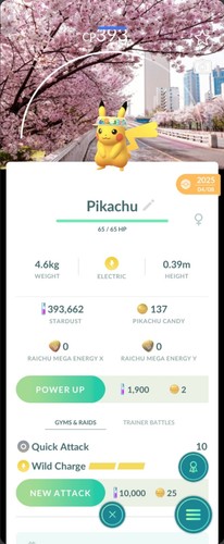 Pokemon non shiny pikachu - pokemon,