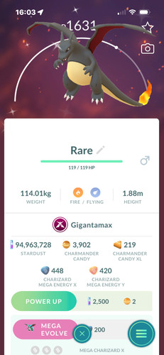 Pokémon charizard - pokémon,