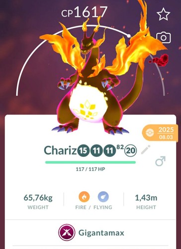 Gigantamax charizard non - charizard,