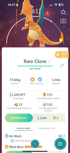 Pokémon clone charizard - pokémon,