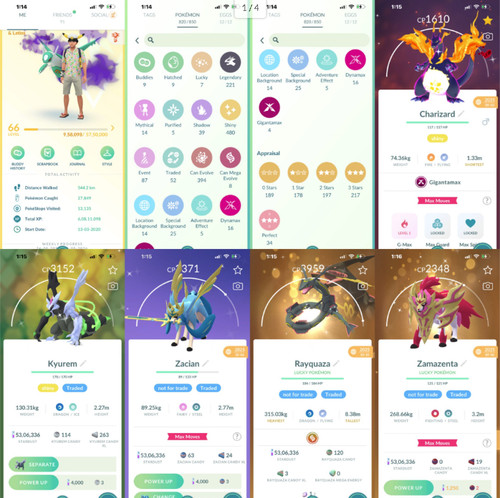 Pokémon acc lvl 480 - lvl,