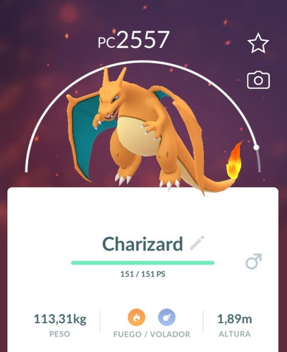 Pokemon charizard glurak - pokemon,